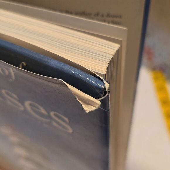 The Ultimate Book of Lighthouses: History, Legend, Lore,  ETC - dustcover damage - Picture 3 of 16